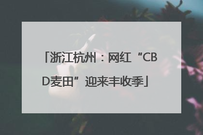 浙江杭州：网红“CBD麦田”迎来丰收季