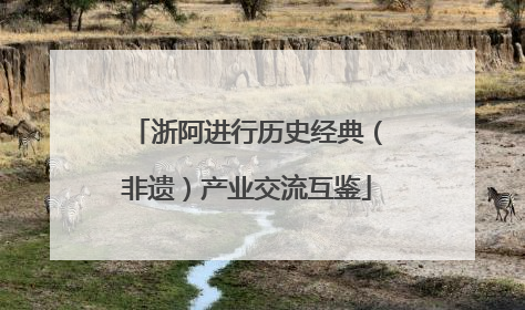 浙阿进行历史经典（非遗）产业交流互鉴