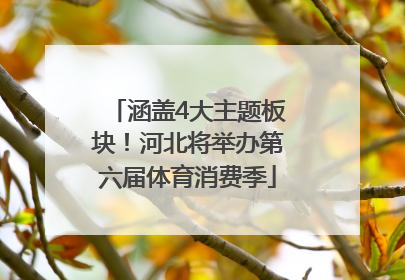 涵盖4大主题板块！河北将举办第六届体育消费季
