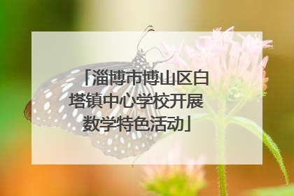 淄博市博山区白塔镇中心学校开展数学特色活动