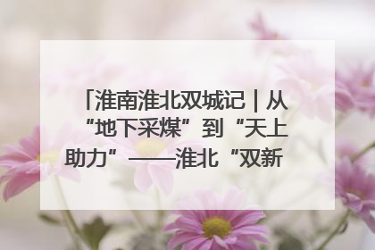 淮南淮北双城记｜从“地下采煤”到“天上助力”——淮北“双新”产业突围记