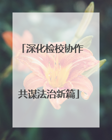 深化检校协作 共谋法治新篇