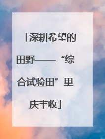 深耕希望的田野——“综合试验田”里庆丰收
