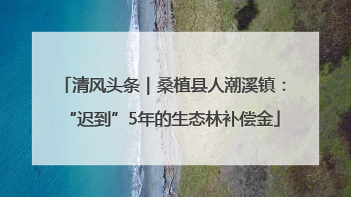 清风头条｜桑植县人潮溪镇：“迟到”5年的生态林补偿金
