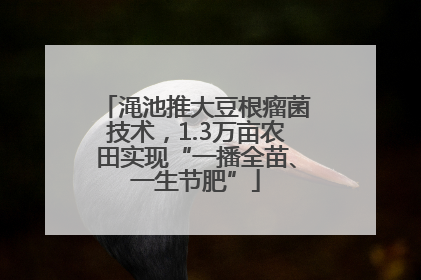 渑池推大豆根瘤菌技术，1.3万亩农田实现“一播全苗、一生节肥”