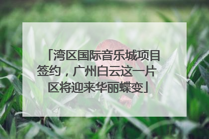 湾区国际音乐城项目签约，广州白云这一片区将迎来华丽蝶变