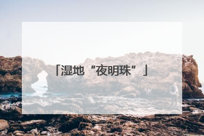 湿地“夜明珠”