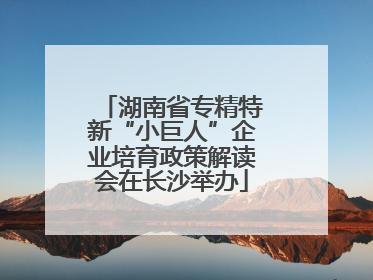 湖南省专精特新“小巨人”企业培育政策解读会在长沙举办