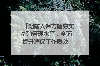 湖南人保寿险夯实基础管理水平，全面提升消保工作质效