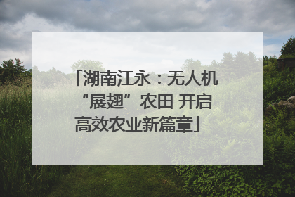 湖南江永：无人机“展翅”农田 开启高效农业新篇章