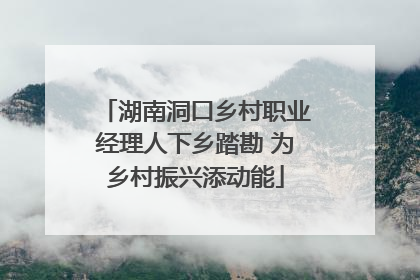 湖南洞口乡村职业经理人下乡踏勘 为乡村振兴添动能