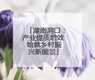 湖南洞口：产业提质增效 绘就乡村振兴新图景