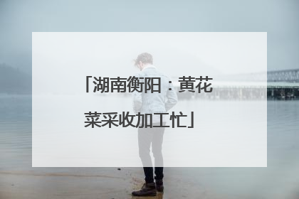 湖南衡阳：黄花菜采收加工忙