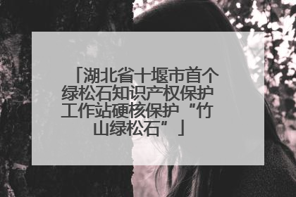湖北省十堰市首个绿松石知识产权保护工作站硬核保护“竹山绿松石”