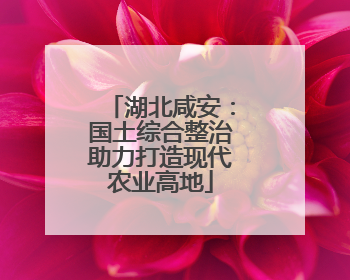 湖北咸安：国土综合整治助力打造现代农业高地