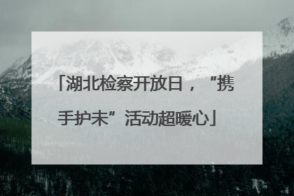 湖北检察开放日，“携手护未”活动超暖心