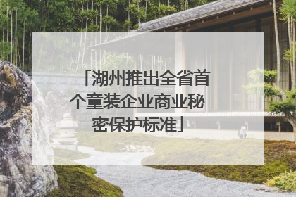 湖州推出全省首个童装企业商业秘密保护标准