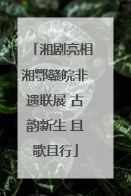 湘剧亮相湘鄂赣皖非遗联展 古韵新生 且歌且行