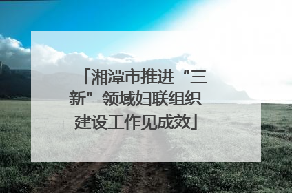 湘潭市推进“三新”领域妇联组织建设工作见成效
