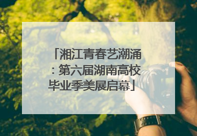 湘江青春艺潮涌：第六届湖南高校毕业季美展启幕