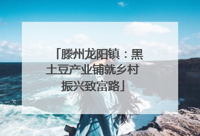 滕州龙阳镇：黑土豆产业铺就乡村振兴致富路