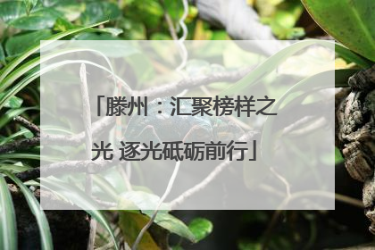 滕州：汇聚榜样之光 逐光砥砺前行
