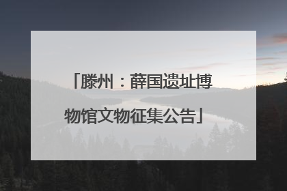 滕州：薛国遗址博物馆文物征集公告