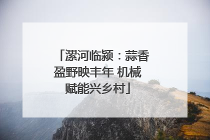 漯河临颍：蒜香盈野映丰年 机械赋能兴乡村