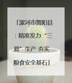 漯河市舞阳县：精准发力“三夏”生产 夯实粮食安全基石