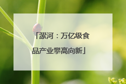 漯河：万亿级食品产业攀高向新