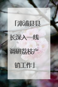 漳浦县县长深入一线调研荔枝产销工作