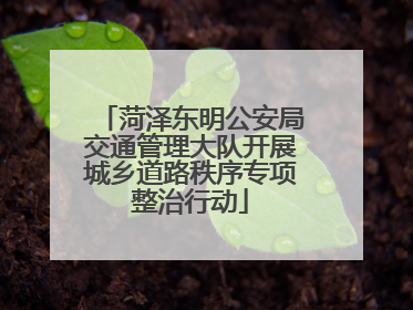菏泽东明公安局交通管理大队开展城乡道路秩序专项整治行动
