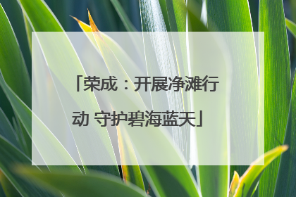 荣成：开展净滩行动 守护碧海蓝天