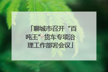 聊城市召开“百吨王”货车专项治理工作部署会议