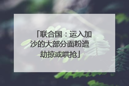联合国：运入加沙的大部分面粉遭劫掠或哄抢