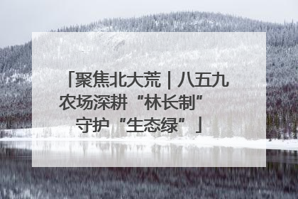 聚焦北大荒｜八五九农场深耕“林长制” 守护“生态绿”