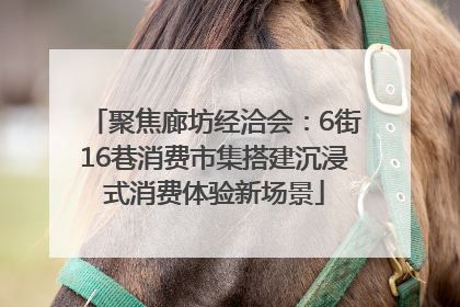 聚焦廊坊经洽会：6街16巷消费市集搭建沉浸式消费体验新场景