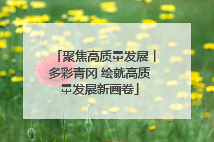 聚焦高质量发展丨多彩青冈 绘就高质量发展新画卷