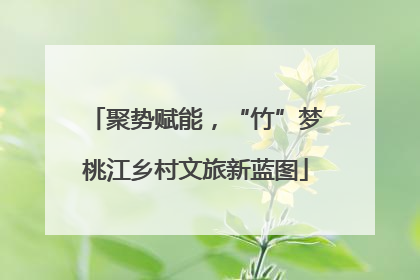 聚势赋能，“竹”梦桃江乡村文旅新蓝图