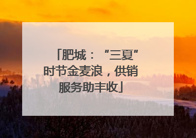 肥城：“三夏”时节金麦浪，供销服务助丰收