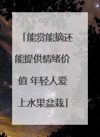 能赏能摘还能提供情绪价值 年轻人爱上水果盆栽