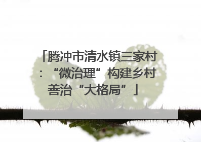 腾冲市清水镇三家村：“微治理”构建乡村善治“大格局”