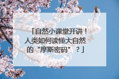 自然小课堂开讲！人类如何读懂大自然的“摩斯密码”？