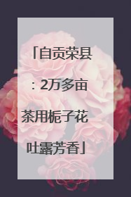 自贡荣县：2万多亩茶用栀子花吐露芳香