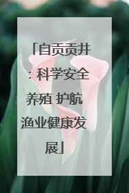 自贡贡井:科学安全养殖 护航渔业健康发展