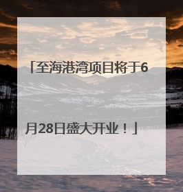至海港湾项目将于6月28日盛大开业！
