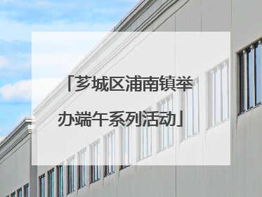芗城区浦南镇举办端午系列活动