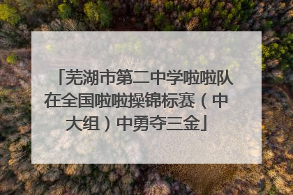 芜湖市第二中学啦啦队在全国啦啦操锦标赛（中大组）中勇夺三金