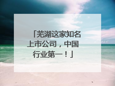 芜湖这家知名上市公司，中国行业第一！