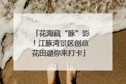 花海藏“豚”影！江豚湾景区创意花田邀你来打卡